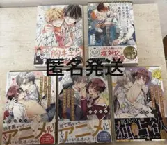 BLまとめ売り　5冊　少女マンガなら叶わない恋他