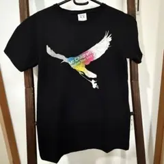 ミスチル　Mr.Children Stadium Tour 2015 未完 Tのサムネイル