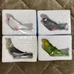 鳥 インコ オブジェ