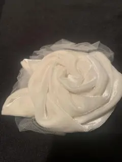 Item thumbnail for item 8ff85251-5876-4267-af58-bf22176e6216