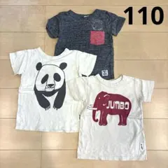 MARKEY'S マーキーズ　Tシャツ3着セット　パンダ　ゾウ　110㎝のサムネイル