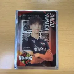 2枚セット❣️】ウルフドッグス名古屋 佐藤駿一郎 豊田昇平 トレカ