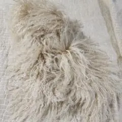 Item thumbnail for item cfa104d6-e414-4e34-a3c6-8e6e69e10adf