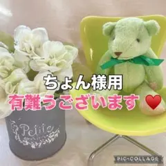 ちょん様 リクエスト 2点 まとめ商品