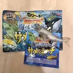 2026年最新】大白鯊の人気アイテム - メルカリ