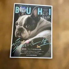BUHI 2026 SUMMER ISSUE VOL.79 完全保存版