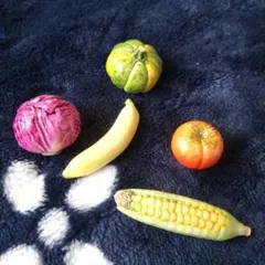 ミニチュアフルーツセット