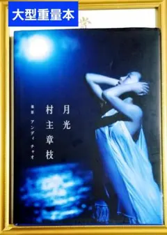 蒼蘭訣 A4サイズ64p 写真集 王鶴棣 虞書欣 張凌赫 苍兰诀写真集 - メルカリ