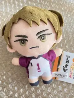 ハイキュー！！ みにコレ　ぬいぐるみマスコット　牛島若利 2