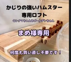 ハムスターロフト　グラスハーモニー600　専用ページ
