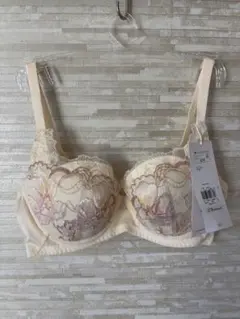 D70」トリンプ 天使のブラ 魔法のハリ感626 ブラジャー