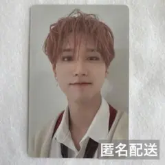 straykids christmasevel ハン 限定版 トレカ