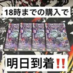 【24時間以内発送‼︎】影速ザ・トリッパー プロモ　4枚