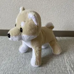 【美品‼️】ベストエバー　プレミアムパピー　柴犬　ぬいぐるみのサムネイル