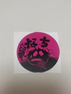 サバシスター　ピック　サイン入り サバシスター ピック サイン入り 2025年最新】サバシスター