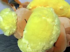 2026年最新】ぬいぐるみ 等身大 ブースターの人気アイテム - メルカリ