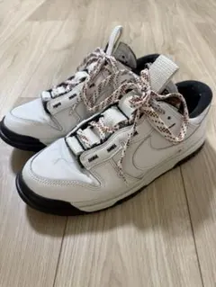 Nike スニーカー 25cm