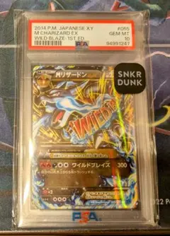 ワイルドブレイズ　未開封 状態A-〕拡張パック第2弾 ワイルドブレイズ(XY2)【未開封BOX】{-}