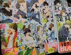 抱かれたい男1位に脅されています 1 ～ 9巻 + 小説2冊 桜日梯子