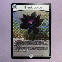 2025年最新】ブラックロータス デュエルマスターズの人気