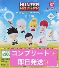 HUNTER×HUNTER めじるしアクセサリー G.I.編 ／ コンプセット - メルカリ