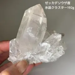 2026年最新】ゼッカデソウザの人気アイテム - メルカリ