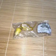 なめこ栽培キット カラフルマルチチャーム　黄なめこ