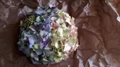 *＊ 新品未使用 ＊*　あじさいヘッドドレス　ウェディングにも