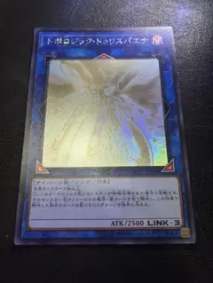 2025年最新】トポロジック トゥリスバエナの人気アイテム - メルカリ