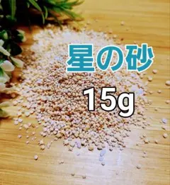 Item thumbnail for item 2b5954db-9792-45da-9363-70dd2cd234c4