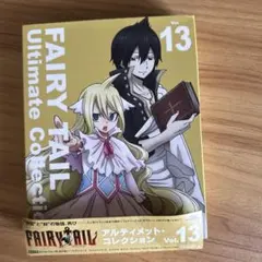 金銀キャンペーン FAIRY TAIL フェアリーテイル ウェンディ スリーブ