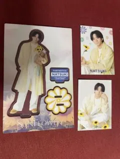 2026年最新】澤本夏輝アクスタの人気アイテム - メルカリ