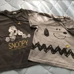 Tシャツ5枚セット