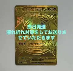 ネ*ャ様 300円オークションメガリザードンY mur