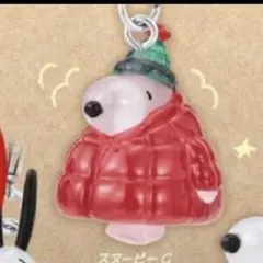 PEANUTS めじるしアクセサリー FUNNY ver. スヌーピーC