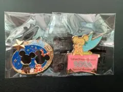 東京ディズニーリゾート 2026年特別版ピンバッジ× 2種