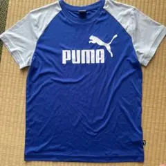 PUMA ロゴ Tシャツ 青/グレー160