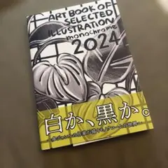 ART BOOK OF SELECTED ILLUSTRATION 2024