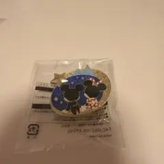 ディズニーゲーム景品　ピンバッジ　夜限定品