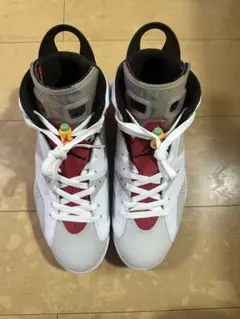 NIKE AIR JORDAN 6 RETRO 28cm