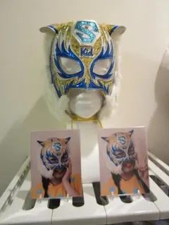 Item thumbnail for item 25525832-3f81-41e9-92da-87f428689050