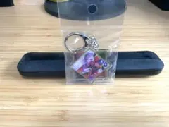 藤ちょこ　個展　アクキー
