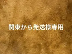 ☆関東から発送様リクエスト専用☆商品