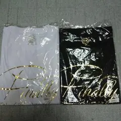 Item thumbnail for item 52f42121-74ec-41f6-bab9-058109b13f4b