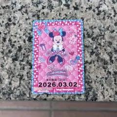 ミニー@ファンダーランド リゾラ フリーきっぷ ミニーの日 リゾートライン