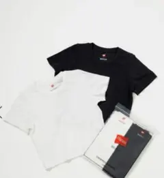 Hanes for BIOTOPのサムネイル