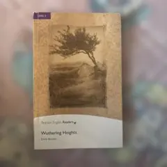Wuthering Heights - Emily Brontë