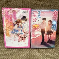 「余命半年、きみと一生分の恋をした。」他2冊セット　ジュニア　野いちご　文庫本