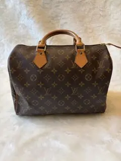 Louis Vuitton Speedy モノグラム ハンドバッグのサムネイル