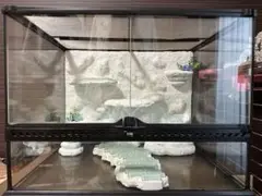 爬虫類　レイアウト　バックボード　グラスハーモニー 爬虫類レイアウト用品 グラスハーモニー グラステラリウム